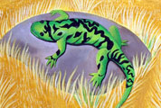Children's Illustration